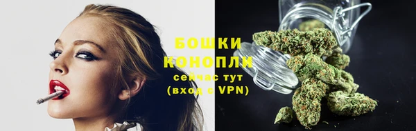 PSILOCYBIN Арсеньев