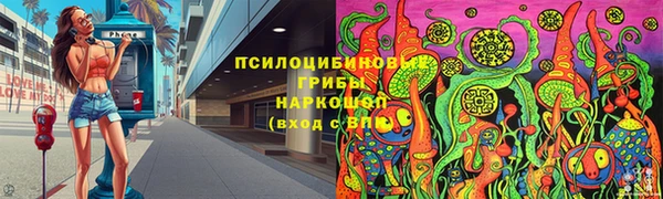 a pvp Аркадак