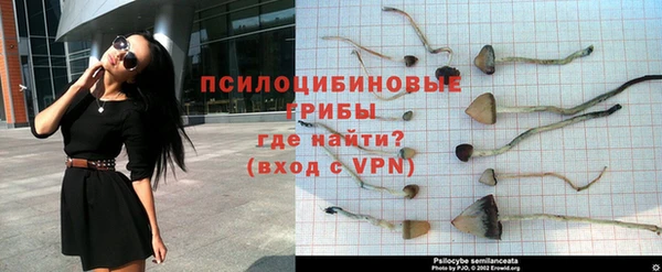 PSILOCYBIN Арсеньев