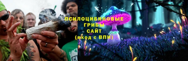 a pvp Аркадак